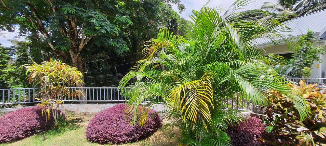 Le Chant De Merle Self -Catering Studios And Apartments Mahe Island Exterior photo